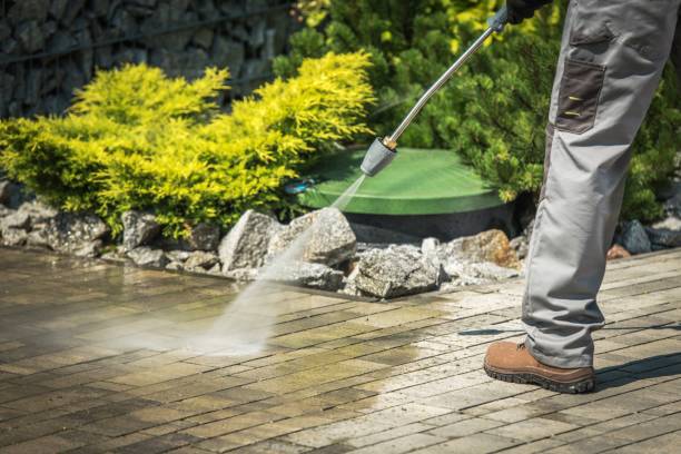 Best Animal Enclosure Cleaning  in Ponce Inlet, FL