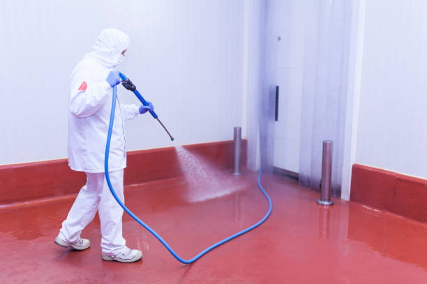 Reliable Ponce Inlet, FL Pressure Washing Services Solutions